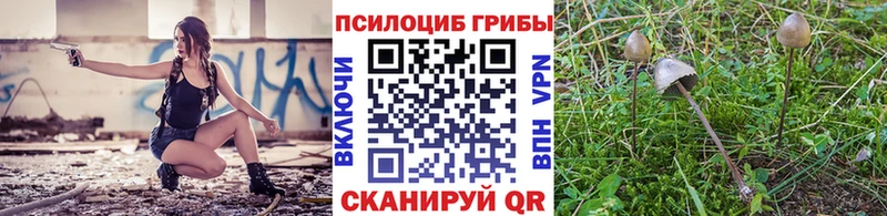 Псилоцибиновые грибы Magic Shrooms  как найти наркотики  Кадников 