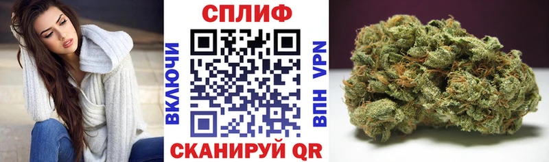 Бошки марихуана SATIVA & INDICA  MEGA маркетплейс  Кадников 